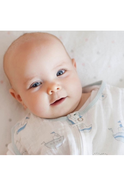 Спальный мешок SwaddleDesigns Blue Forest Спальный мешок SwaddleDesigns Blue Forest