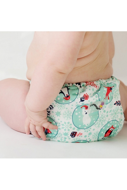 Многоразовый подгузник Kanga Care Rumparooz Onesize, Chill (2 вкладыша) Многоразовый подгузник Kanga Care Rumparooz Onesize, Chill (2 вкладыша)