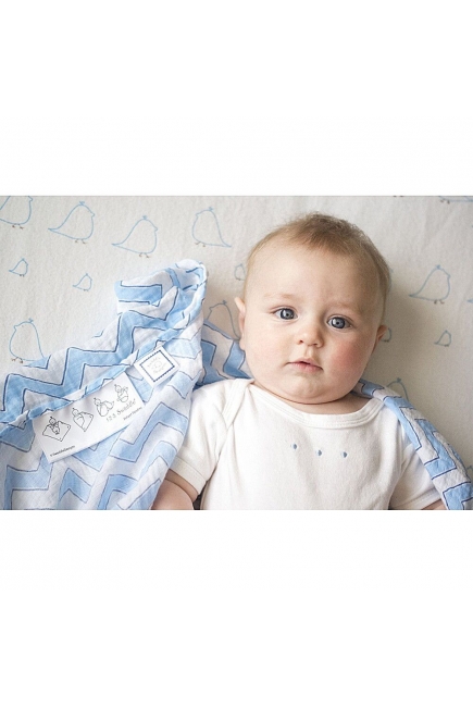 Пеленка детская тонкая SwaddleDesigns Маркизет Lime w/BR Mod C Пеленка детская тонкая SwaddleDesigns Маркизет Lime w/BR Mod C