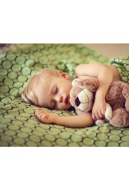 Пеленка детская тонкая SwaddleDesigns Маркизет Lime w/BR Mod C Пеленка детская тонкая SwaddleDesigns Маркизет Lime w/BR Mod C