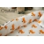 Гнездышко для новорожденных Babynest Little Fox Гнездышко для новорожденных Babynest Little Fox