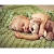 Пеленка детская тонкая SwaddleDesigns Маркизет Lime w/BR Mod C Пеленка детская тонкая SwaddleDesigns Маркизет Lime w/BR Mod C