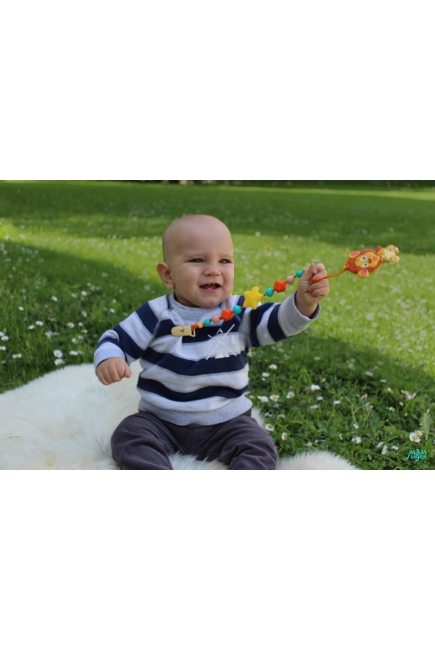 Силиконовый прорезыватель Лев