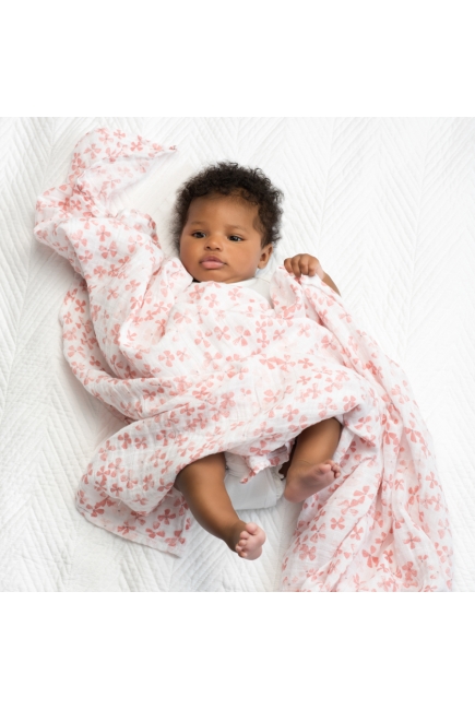 Aden&Anais набор 4 больших муслиновых пеленок, Birdsong