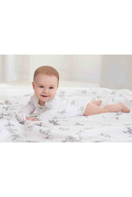 Муслиновые пеленки для новорожденных большие Aden&Anais, набор 2, из юбилейной коллекции