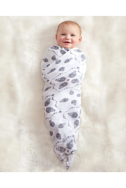 Aden&Anais набор 4 больших муслиновых пеленок, Kindred