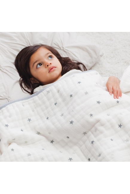 Aden&Anais одеяло муслиновое, Twinkle