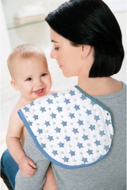 Слюнявчик Aden&Anais, набор из 2 штук, Prince Charming