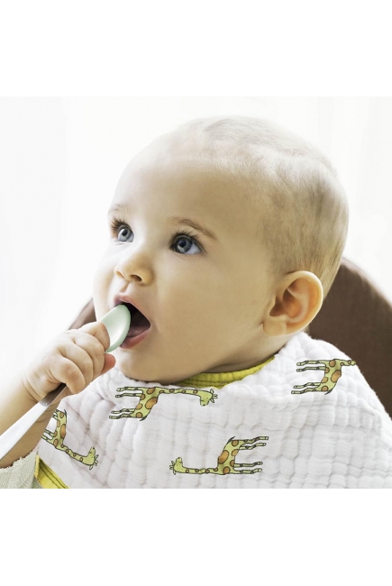 Слюнявчик Aden&Anais, набор из 2 штук, Jungle Jam