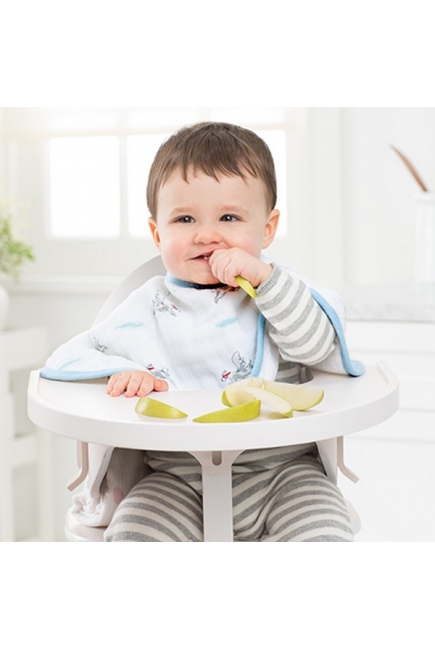 Слюнявчик Aden&Anais, набор из 2 штук, Liam The Brave