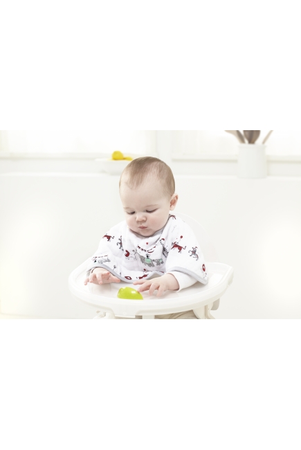 Слюнявчик Aden&Anais, набор из 2 штук, Wintage Circus Print