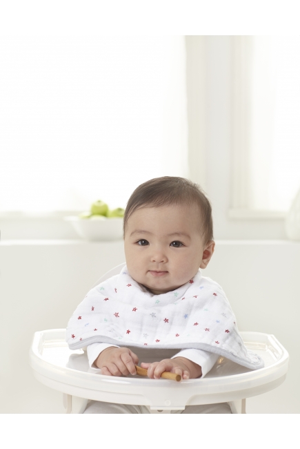 Слюнявчик Aden&Anais, набор из 2 штук, Wintage Circus Print