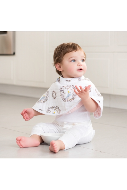 Слюнявчик Aden&Anais, набор из 2 штук, Birdsong