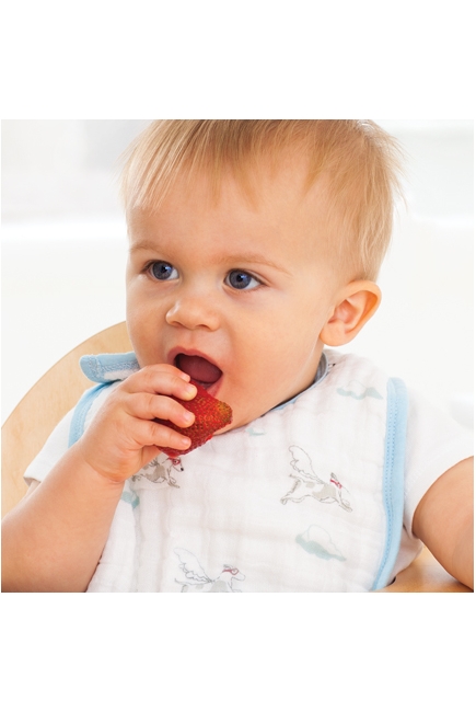 Aden&Anais набор 3 слюнявчиков, Liam the Brave (храбрый пес)