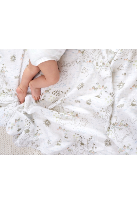 Муслиновые пеленки Aden&Anais для новорожденных большие, набор 2, Warrior Finn