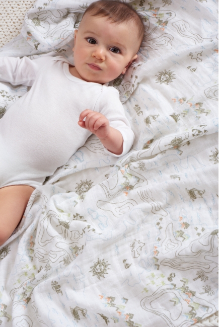 Муслиновые пеленки Aden&Anais для новорожденных большие, набор 2, Warrior Finn