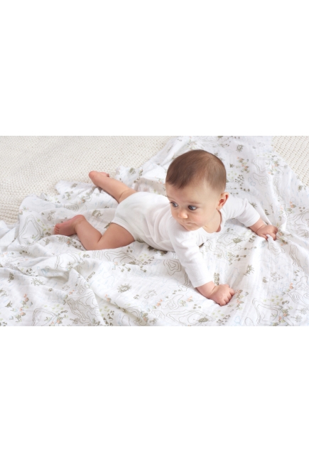 Муслиновые пеленки Aden&Anais для новорожденных большие, набор 2, Warrior Finn