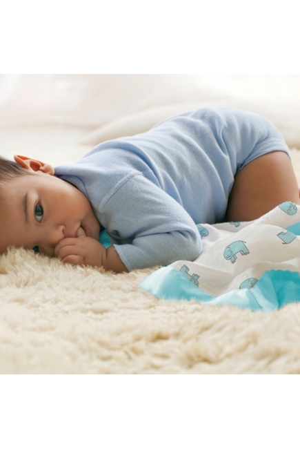 Муслиновые пеленки для новорожденных Aden&Anais маленькие, Elephant