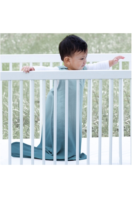 Aden&Anais спальный мешок из шерсти мериноса, Seaside