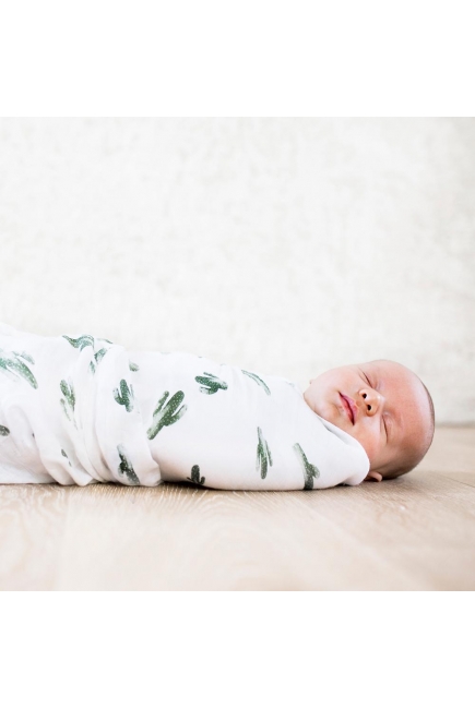 Бамбуковые пеленки для новорожденных Bebe Au Lait, набор 2, Saguaro/Dottie