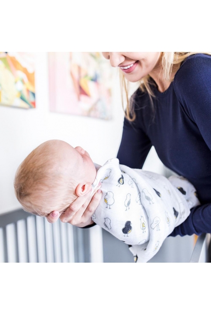 Бамбуковые пеленки для новорожденных Bebe Au Lait, набор 2, Pipit and Pebble