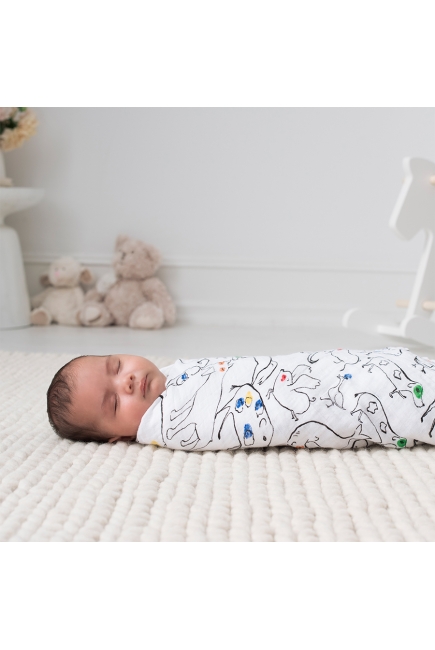 Муслиновые пеленки Aden&Anais для новорожденных, большие, набор 4, Color Pop