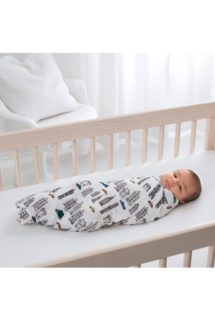 Муслиновые пеленки Aden&Anais для новорожденных, большие, набор 4, Color Pop