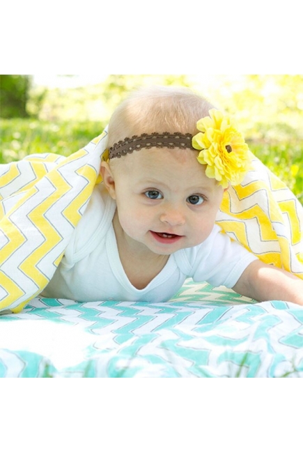 Набор пеленок SwaddleDesigns SwaddleLite Chic Chevron Lite Pink