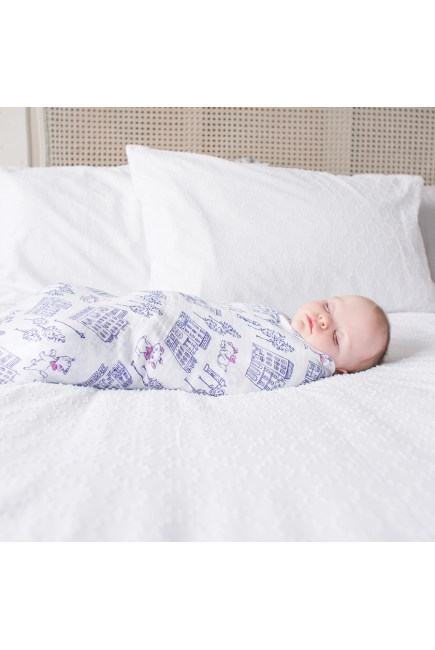 Муслиновые пеленки Aden&Anais для новорожденных большие, набор 4, Disney Aristocrats