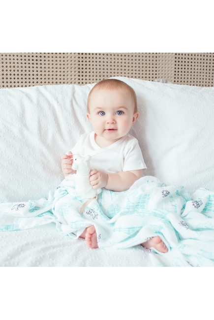 Муслиновые пеленки Aden&Anais для новорожденных большие, набор 4, Disney Aristocrats