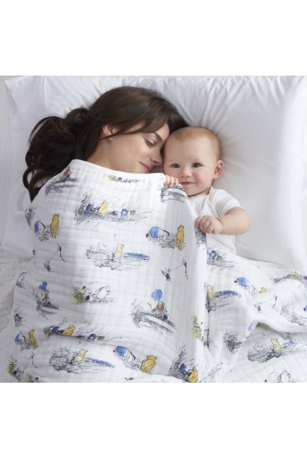 Муслиновое одеяло Aden Anais, Disney Winnie Pooh