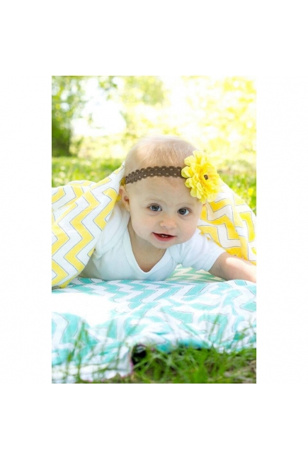 Набор пеленок SwaddleDesigns Swaddle Duo Yellow Chevrons