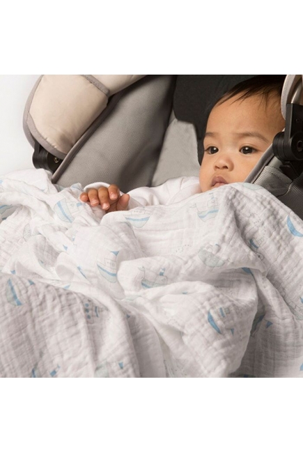 Муслиновые пеленки для новорожденного SwaddleDesigns большие набор 4, Pink Butterfly