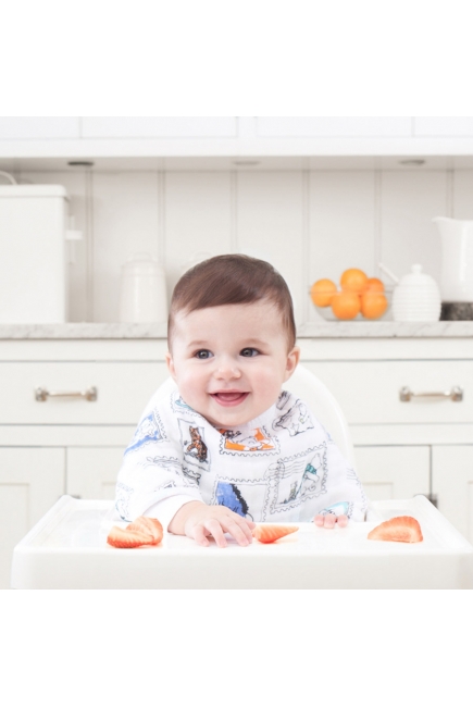 Слюнявчик 2в1 Aden Anais, набор из 2 штук, Winnie The Pooh