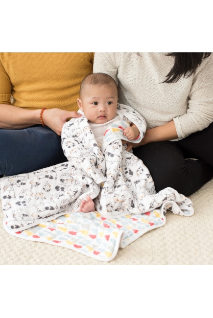 Одеяло муслиновое Aden Anais, Pig Year