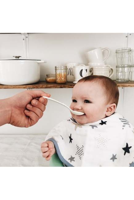 Слюнявчик 2в1 Aden&Anais, набор из 2 штук, Rock Star