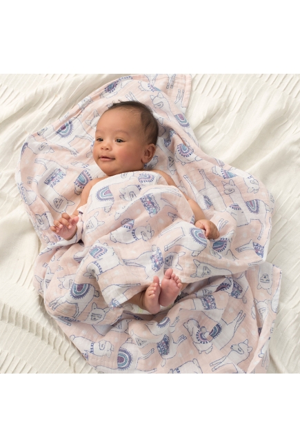 Муслиновые пеленки Aden&Anais для новорожденных большие, набор 4, Trail Blooms