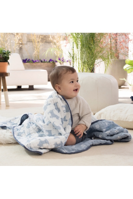 Одеяло муслиновое Aden&Anais, Waverly