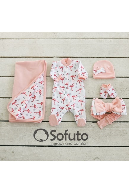 Комплект на выписку из роддома летний Flamingo (5 предметов)