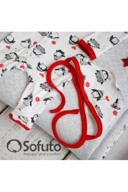 Комплект на выписку холодная зима, Lolo (6 предметов)