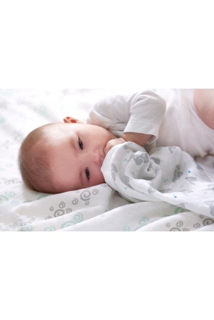 Пеленки муслиновые Aden&Anais для новорожденных, большие, набор 4, Baby Star