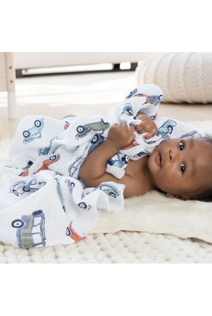 Пеленки муслиновые Aden by Aden&Anais, большие, набор 4, Hit The Road