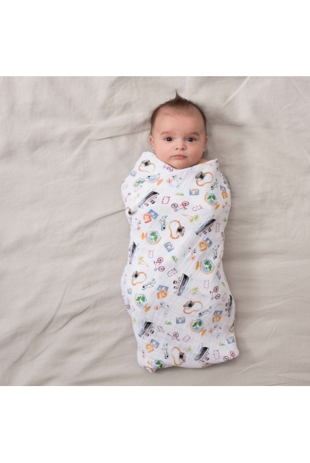 Пеленки муслиновые для новорожденных Aden&Anais большие, набор 4, Around The World