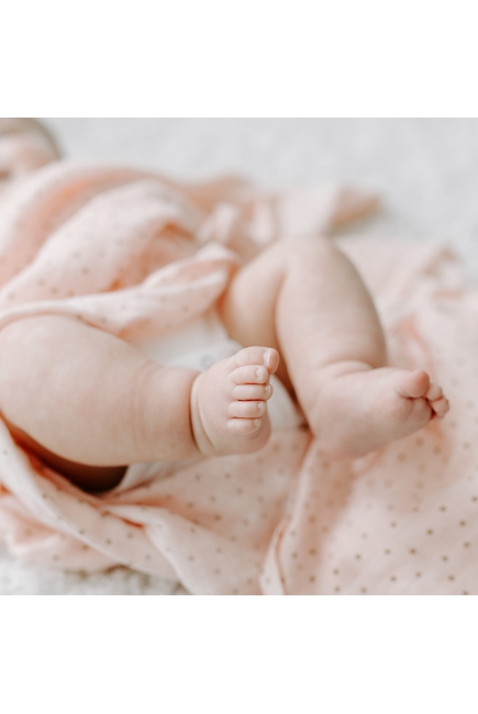 Муслиновые пеленки для новорожденных Aden&Anais, большие, набор 4, Dahlias