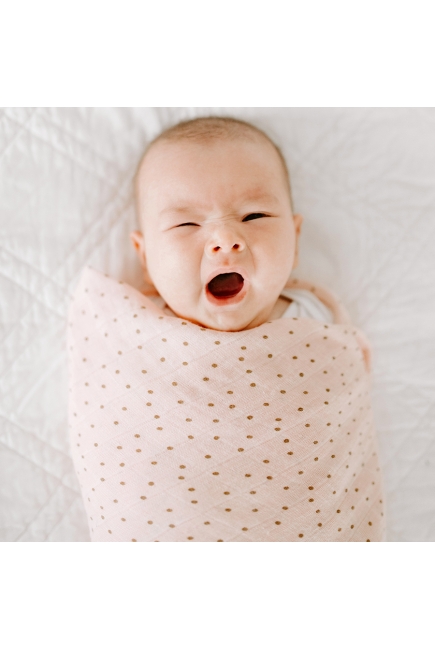 Муслиновые пеленки для новорожденных Aden&Anais, большие, набор 4, Dahlias