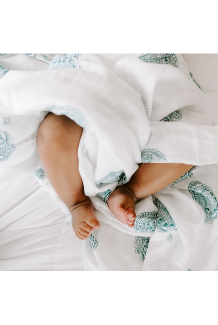 Муслиновые пеленки для новорожденных Aden&Anais, большие, набор 4, Paisley teal