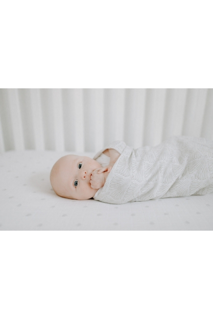 Пеленки муслиновые для новорожденных Aden&Anais большие, набор 2, Paisley