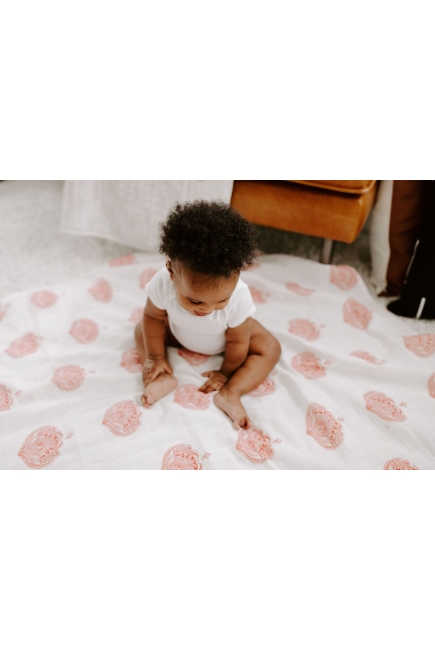 Муслиновая пеленка для новорожденных Aden Anais, Paisley multi