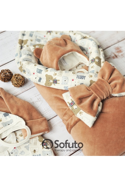 Комплект на выписку демисезонный, Teddy (6 предметов)