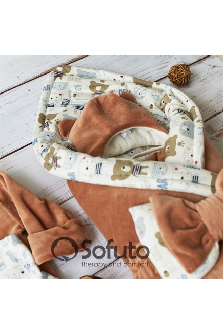 Комплект на выписку демисезонный швами наружу, Teddy (6 предметов)